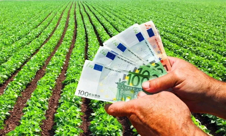 Românii din diaspora pot primi până la 200.000 € pentru investiții în țară